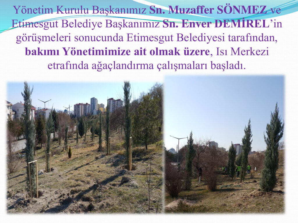 Ağaçlandırma Çalışmaları Hakkında Etimesgut Belediyesi Agaclandirma 1